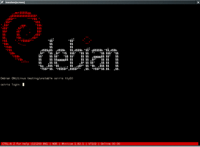 debian-issue