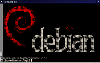 debian-issue2