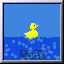 ducky1