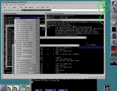 netscape