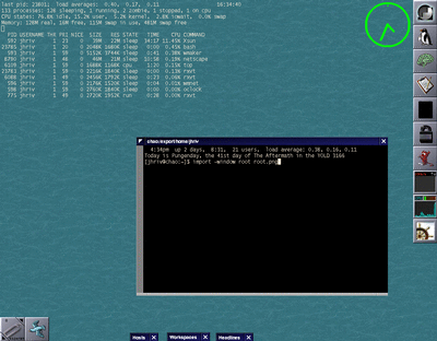 root