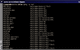 zsh